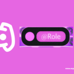 discord-roles-management-guide